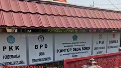 Desa Boro Sidoarjo